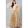 Gold Color Soft Net Designer Party Wear Women Lehenga Choli -1927134523