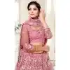 Light Pink Color Bridal Net Designer Wear Traditional Lehenga Choli -2159136731
