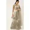 Silver Color Net Designer Party Wear Lehenga Choli - 2501139736