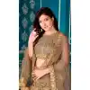 Brown Color Net With Canvas Designer Party Wear Lehenga Choli - 2512139870