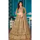 Brown Color Net With Canvas Designer Party Wear Lehenga Choli - 2512139870