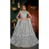 Gray Color Net Traditional Party Wear Plus Size Lehenga Choli - 2622140783