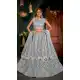 Gray Color Net Traditional Party Wear Plus Size Lehenga Choli - 2622140783