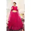 Rani Pink Color Soft Net Designer Wedding Mehendi Wear Lehenga Choli -2981143564