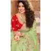 Vivacious Pista Color Net Organza Designer Bridal Wedding Wear Saree Blouse -3018143942