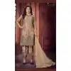 Light Brown Color Heavy Net Party Wear Pakistani Salwar Kameez -3019143951