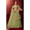 Pista Color Net Satin Designer Traditional Wear Plus Size Lehenga Choli -3244145502