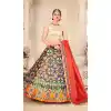 Charming Multi Color Pure Rera Silk Fancy Party Wear Lehenga Choli - 31811450129