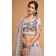 Blush Pink Color Soft Net Fancy Festive Wear Plus Size Lehenga Choli - 3700149110