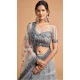 Ash Grey Color Soft Net Fancy Festive Wear Plus Size Lehenga Choli - 3700149115