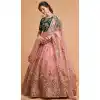 Multi Color Soft Net Fancy Festive Wear Plus Size Lehenga Choli - 3700149118