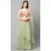 Green Color Net Fancy Party Function Wear Women Lehenga Choli -3861150211