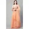 Peach Color Net Fancy Party Function Wear Women Lehenga Choli -3861150213