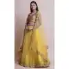 Multi Color Net Fancy Evening Wear Lehenga Choli - 4449154605