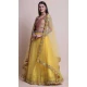Multi Color Net Fancy Evening Wear Lehenga Choli - 4449154605