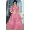 Dark Pink Color Embroidered Party Wear Net Kids Girl Lehenga Choli -4466154820