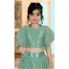 Dark Sea Green Color Embroidered Net Party Wear Kids Girl Lehenga Choli -4466154821