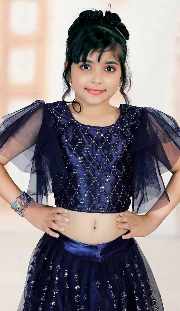 Navy Blue Color Embroidered Net Party Wear Lehenga Choli -4466154823