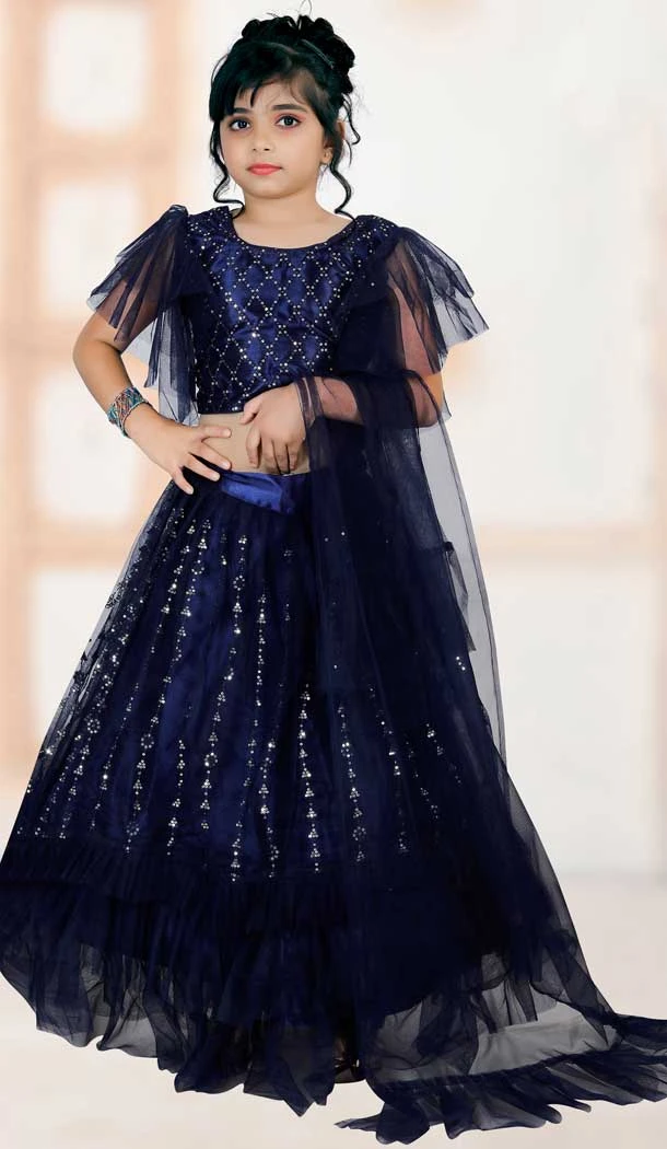 Navy Blue Color Embroidered Net Party Wear Lehenga Choli -4466154823