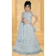 Grey Color Net Lucknowi Work Party Wear Kids Girl Lehenga Choli  -4467154826