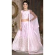 Light Pink Color Net Sequence Thread Work Party Wear Kids Girl Lehenga Choli -4469154834
