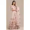 Light Pink Color Net Embroidery Work Traditional Party Wear Lehenga Choli - 4517155155