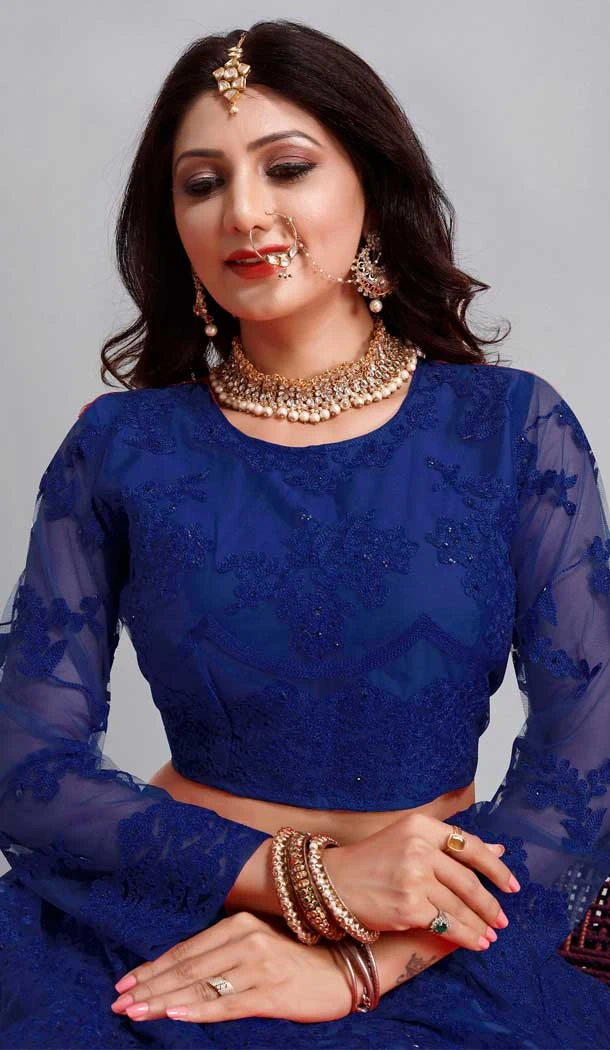 Blue Color Embroidery Work Net Traditional Party Wear Lehenga Choli-4518155162
