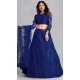 Blue Color Embroidery Work Net Traditional Party Wear Lehenga Choli-4518155162