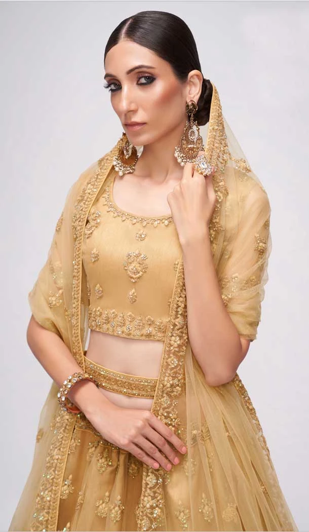 Chiku Color Net Embroidery Wedding Wear Lehenga Choli -4534155306