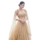 Soft Net Hand Work Beige Color Plus Size Designer Lehenga Choli -4781157491