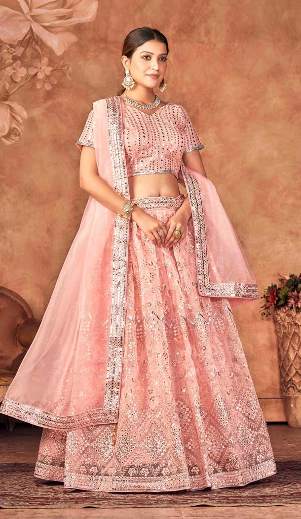 Pink Color Organza Embroidery Mirror Work Designer Lehenga Choli -4868158173
