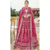 Pink Color Butterfly Net Embroidery Work Function Wear Salwar Kameez -5001159139