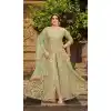 Pista Color Butterfly Net Embroidery Work Party Wear Salwar Kameez - 5004159151