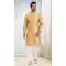 Khaki Color Silk Embroidery Work Function Wear Men's Kurta Pajama -5093159816