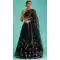 Black Color Net Embroidery Work Designer Function Wear Lehenga Choli -5206160539