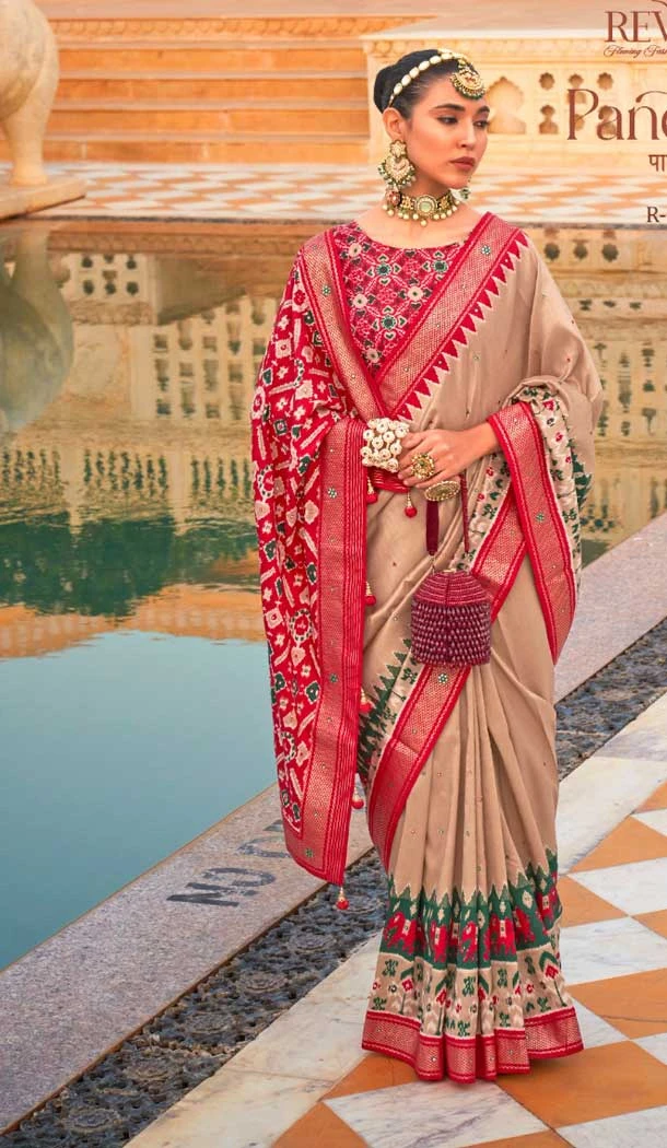 Light Chiku Color Smooth Silk Print And Hand Work Designer Saree -5371161678