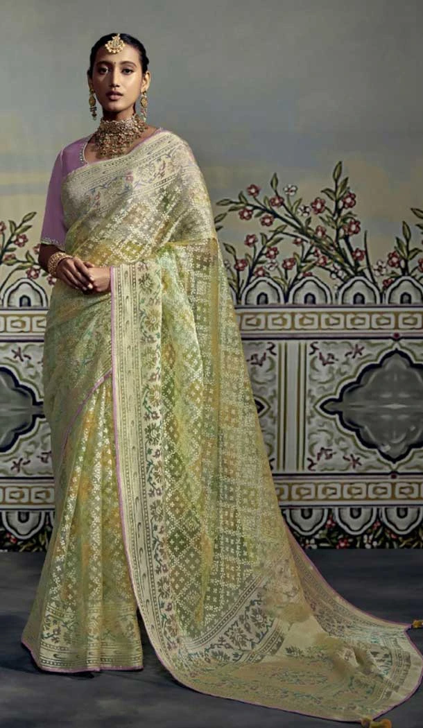 Light Green Color Brasso Embroidery Work Festival Party Wear Saree -5969165981