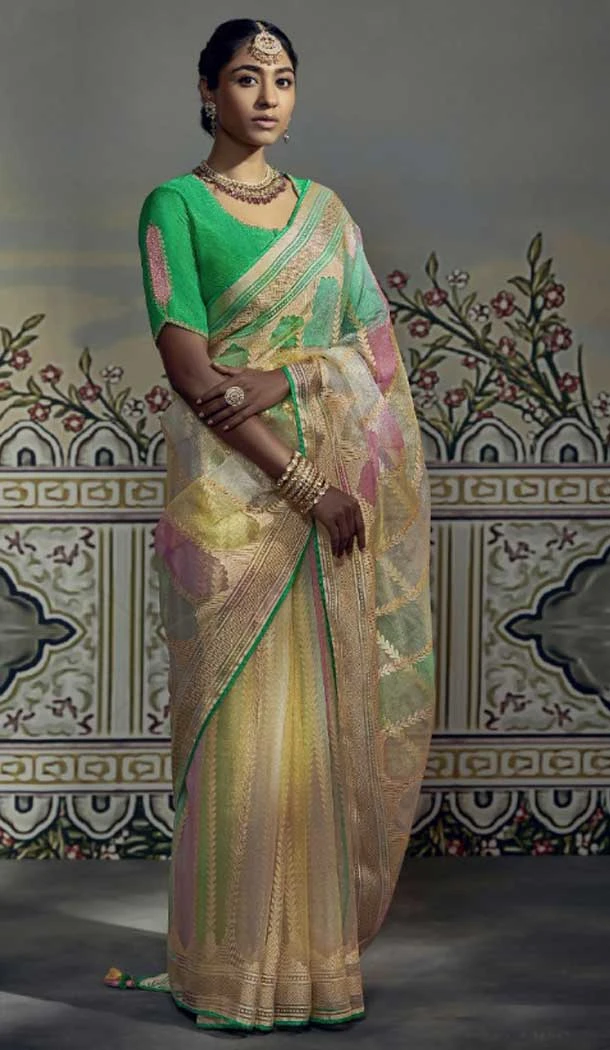 Multi Color Brasso Embroidery Work Festival Party Wear Saree -5969165982